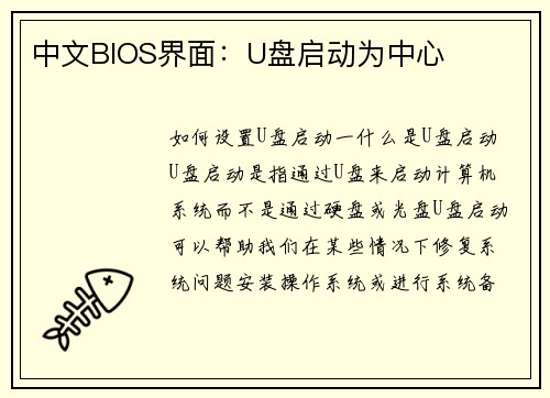 中文BIOS界面：U盘启动为中心